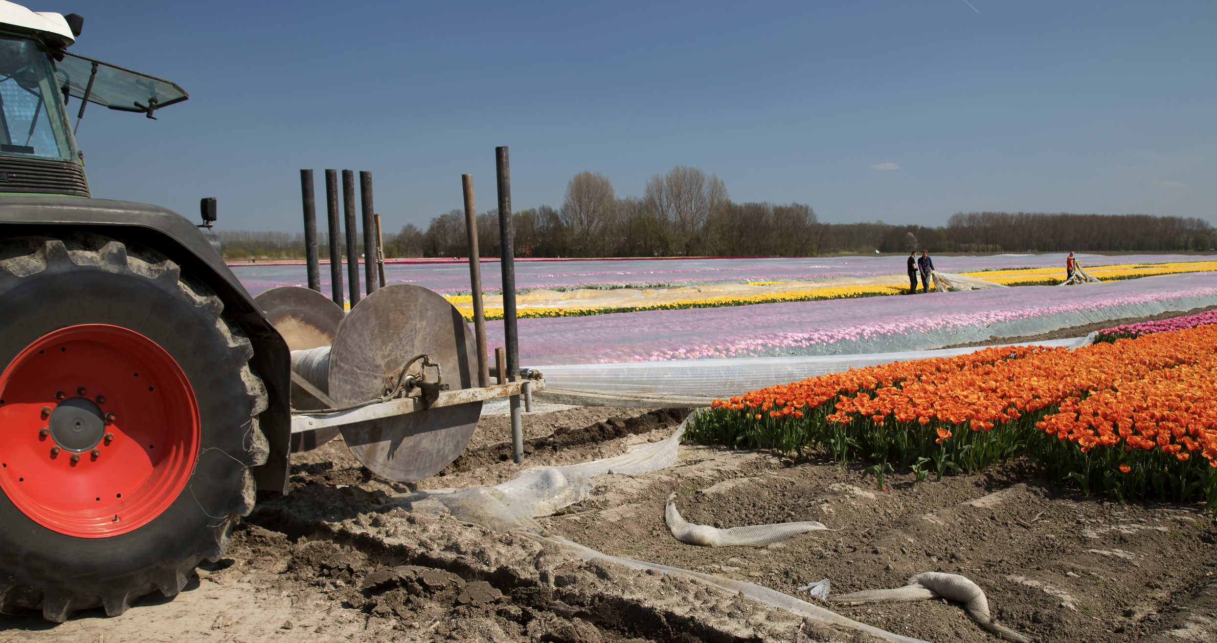 Openingstijden voorjaar 2026 afbeelding